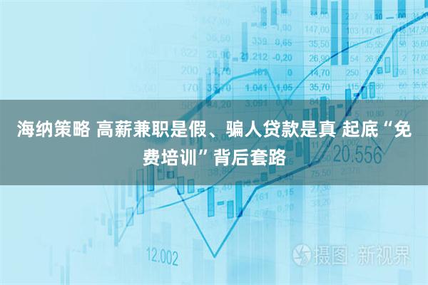 海纳策略 高薪兼职是假、骗人贷款是真 起底“免费培训”背后套路