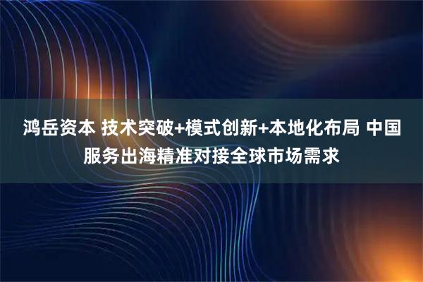 鸿岳资本 技术突破+模式创新+本地化布局 中国服务出海精准对接全球市场需求