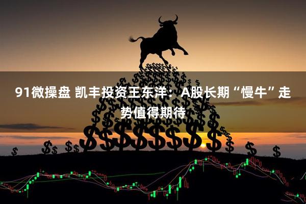 91微操盘 凯丰投资王东洋：A股长期“慢牛”走势值得期待